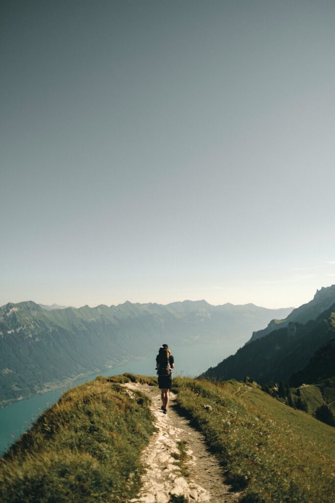 Home 3 joel jasmin forestbird znoL1m6MD k unsplash 1